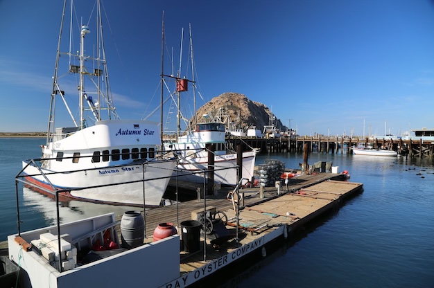 Art in the Park - Pismo Beach